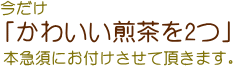 「かわいい煎茶を2つ」本急須にお付けさせて頂きます。