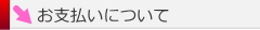 お支払いについて