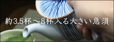 約3.5杯〜8杯入る大きい急須